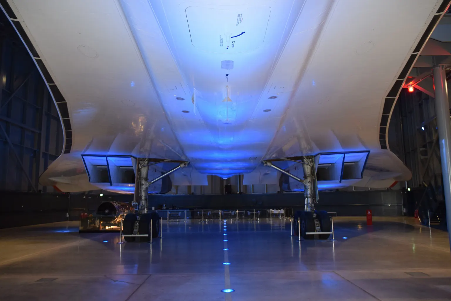 The underside of a preserved Concorde in a museum hangar, its delta wing, engine intakes and landing gear lit blue.