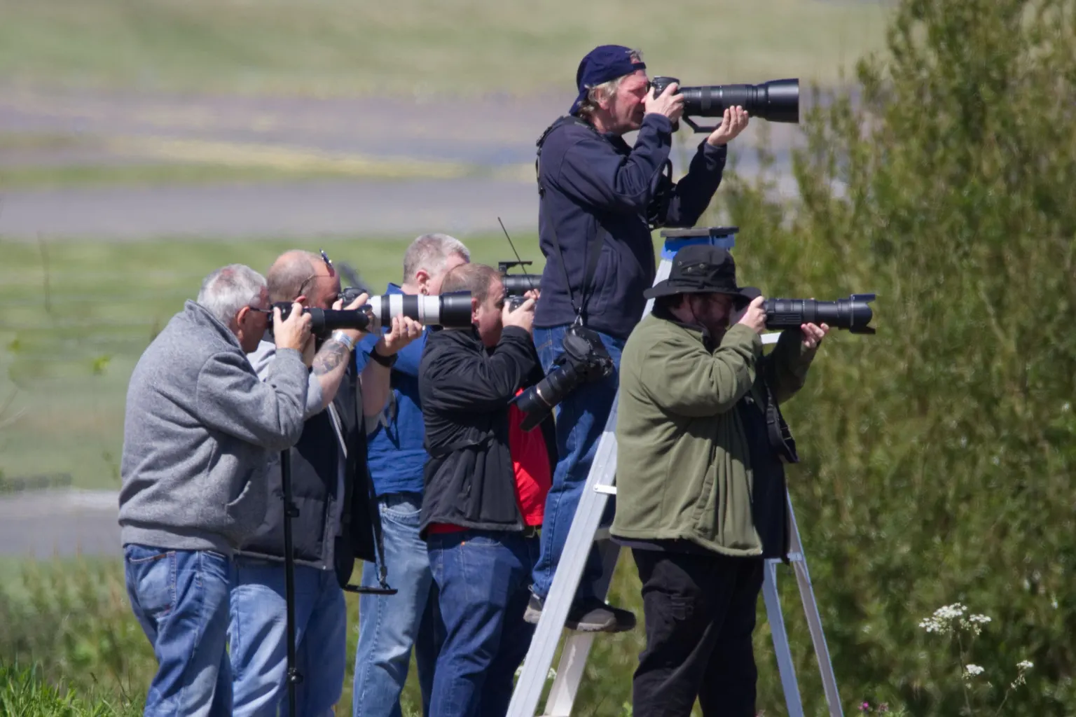 Five plane spotters with long telephoto lenses, one on a stepladder, photographing aircraft from a grassy bank.
