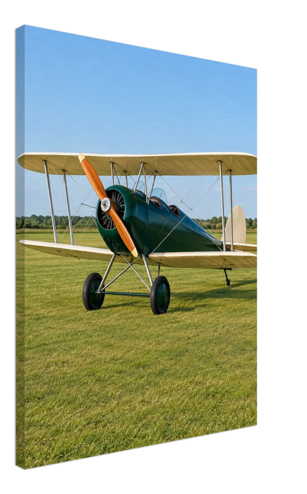 Example render of a portrait stretched canvas: the example photo of a 1930s biplane with a dark green fuselage and cream wings on a grass airfield, the picture carried round the edge